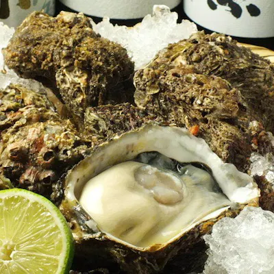 【 全国の旬を味わう 】厳選牡蠣と海鮮料理の贅沢な味わい