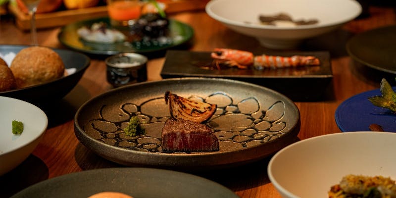 【ディナーコース】非日常の森の物語を味わえるイノベーティブフレンチ 13品のコース（17時入店）