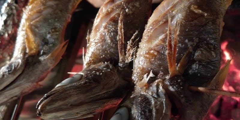 【山桃】季節の素材をふんだんに盛り込んだやんも自慢のコース（半個室確約　）