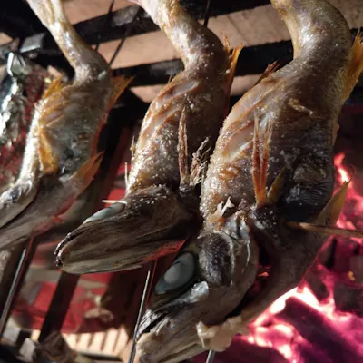 伊豆直送の新鮮な魚介を使った炭火焼