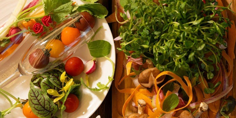 【土日祝 ビュッフェ】ワイン1ドリンク付！旬の野菜を中心に（ビネガー＆ソフトドリンク飲み放題付）