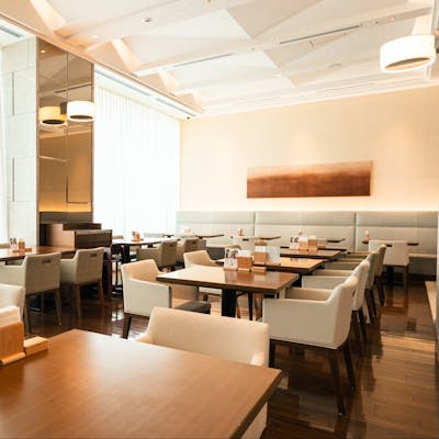 光と素材が織りなす、洗練された開放的な空間