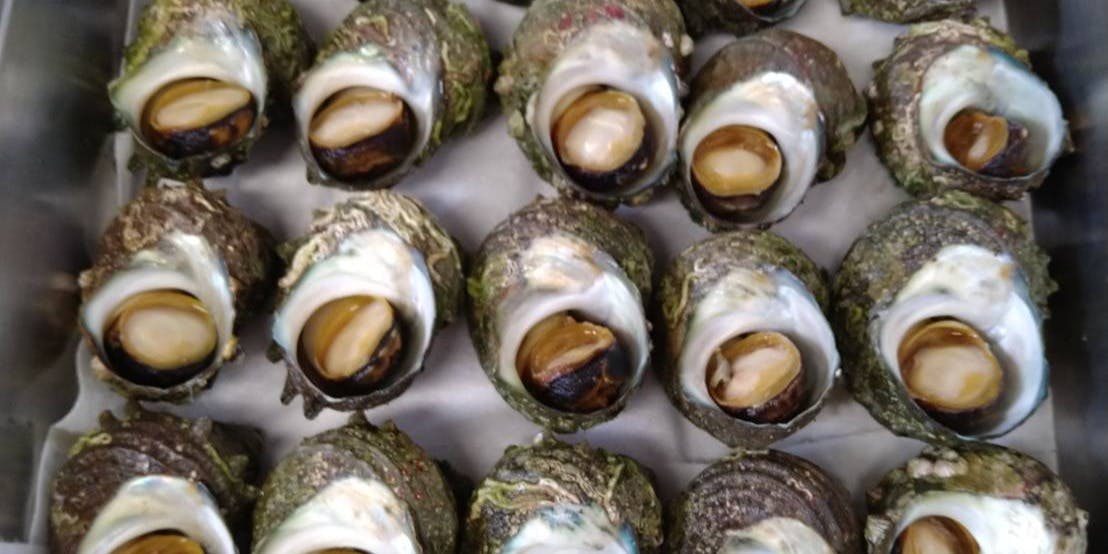 味処 大工町 よし村 - 画像26