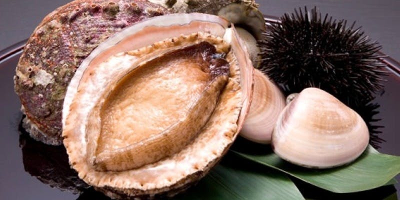 【1/1～1/5限定】”新春特別炭火焼き会席”あわびの踊り焼と田村牛が楽しめる炭火焼会席 ー金龍の舞ー全8品