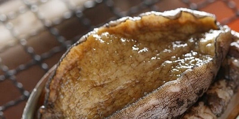 【金龍の舞】あわびの踊り焼と田村牛が楽しめる炭火焼会席＜全8品＞
