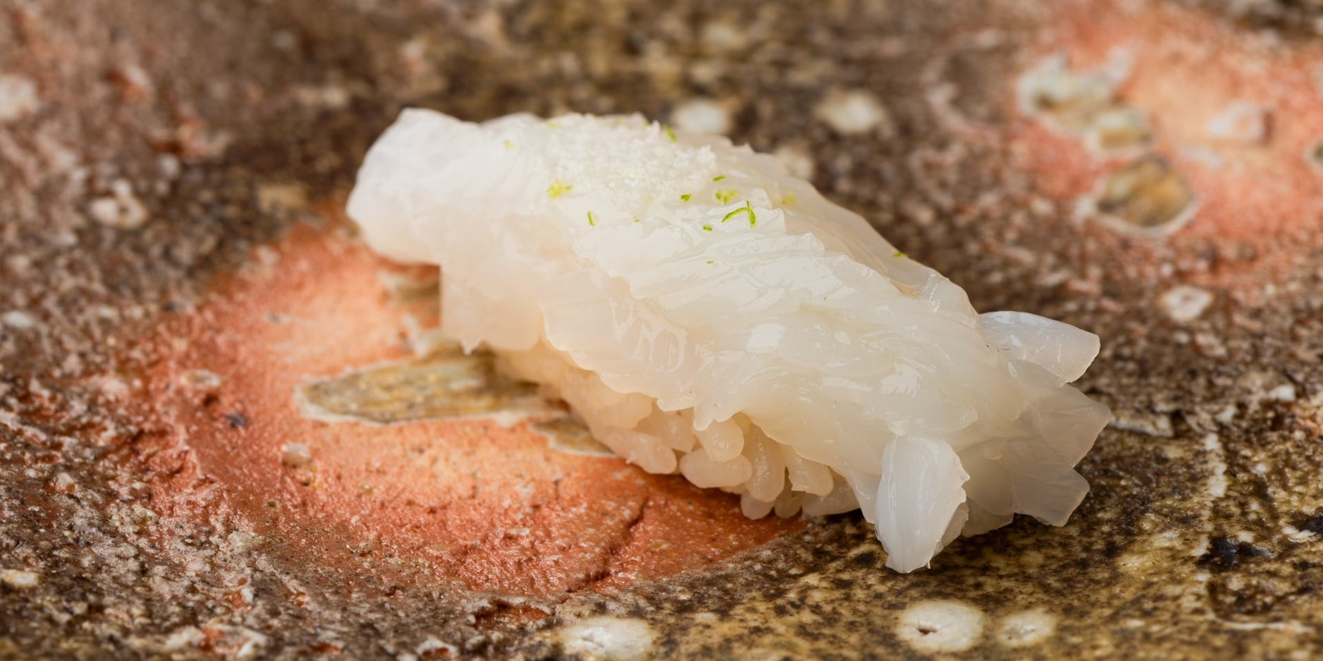 鮨 藤虎 - 画像4