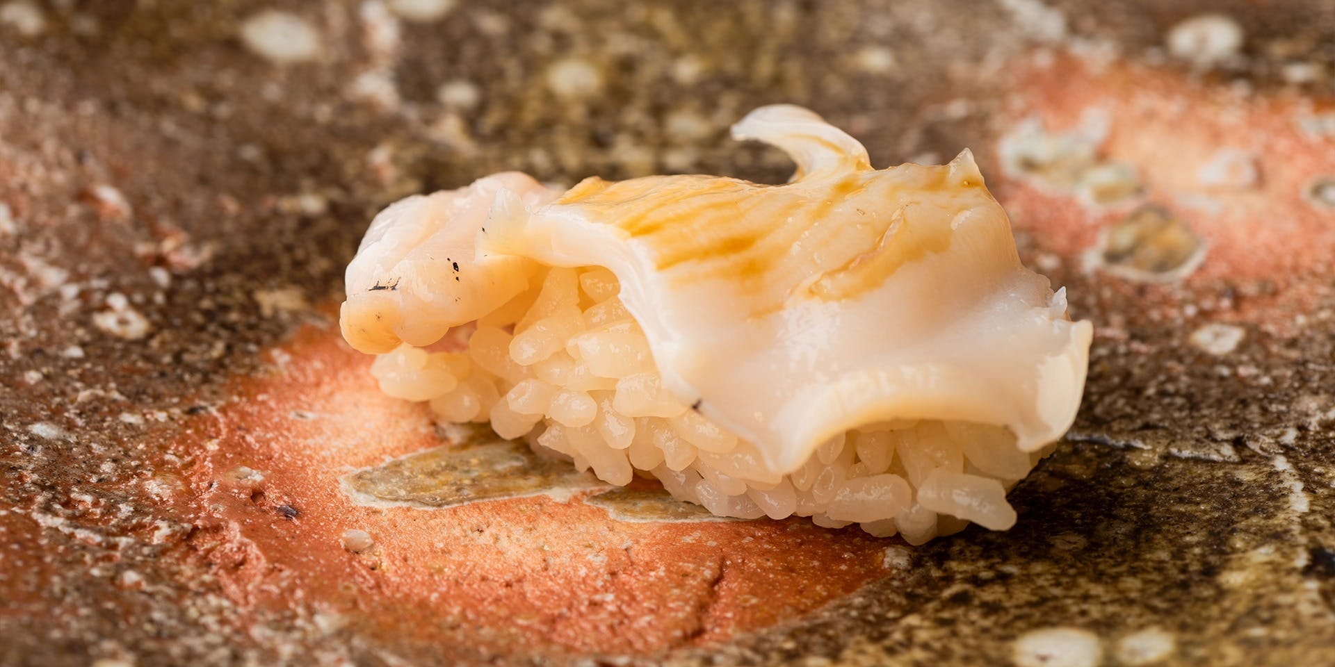 鮨 藤虎 - 画像5