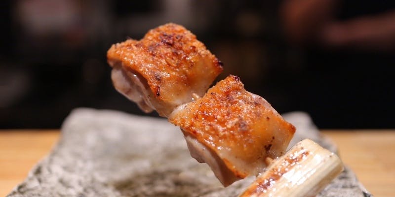 おまかせ焼鳥コース 13品＋飲み放題付