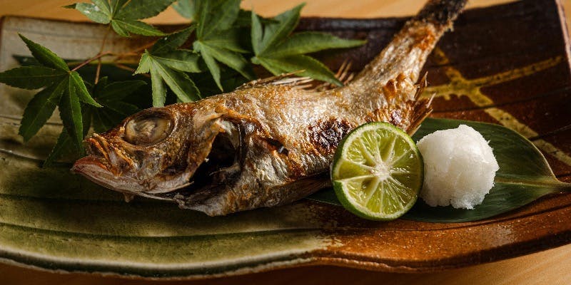 【鮨ト和食】全16品6600円 旬菜旬魚と肉料理、鮨5貫コース