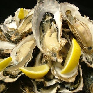 名産地から毎日届く牡蠣を1個110円という破格で提供