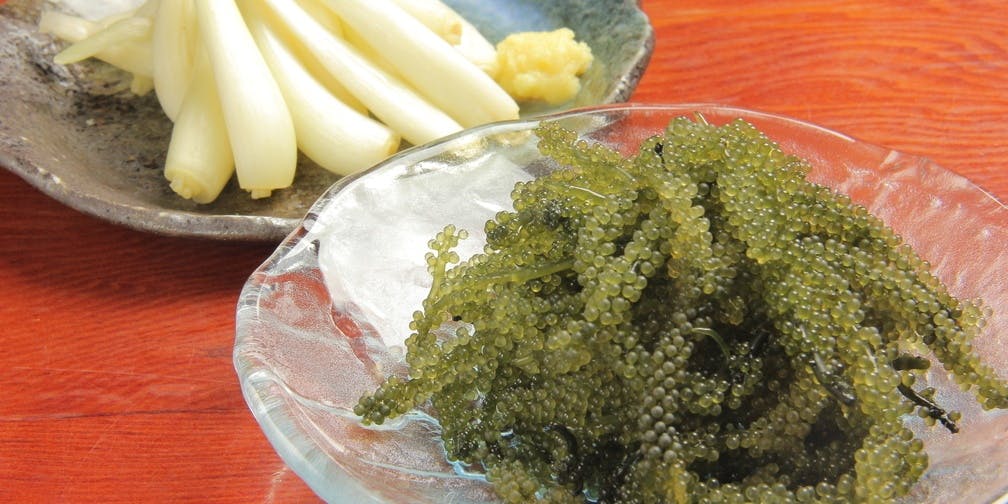 リトル沖縄 - 画像4