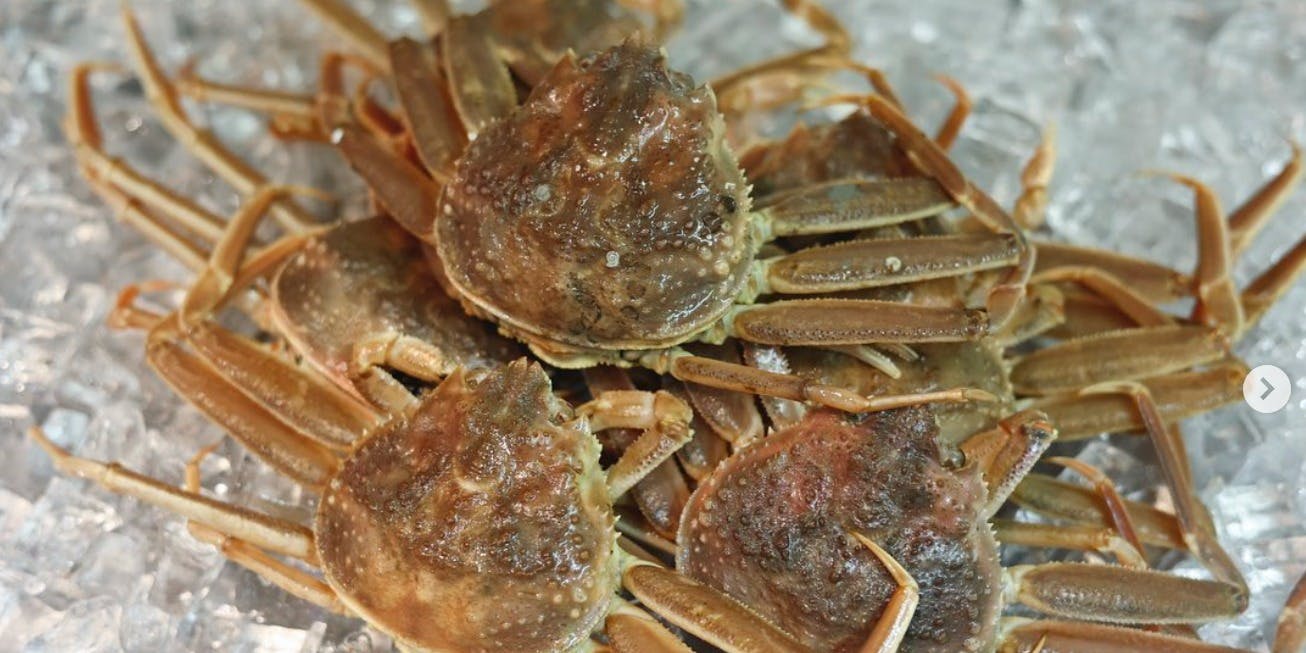 海鮮ろばた 酒肆 大関 - 画像3