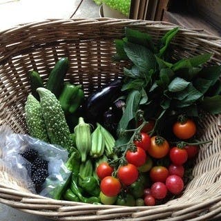 季節の有機野菜を鉄板焼きで