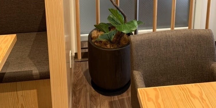 シナグロ オーガニックサラダ＆カフェ そごう大宮店 - 画像3
