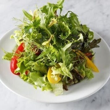 彩り豊かなメニューで目も楽しませる