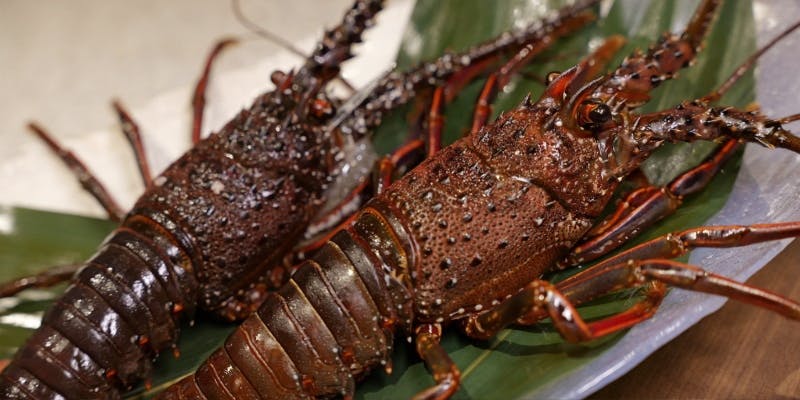 【海鮮づくしコース】