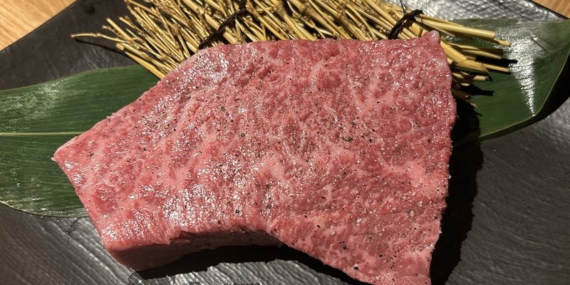 【プレミアムプラン】赤身サシステーキ、特上塩タン、海鮮など