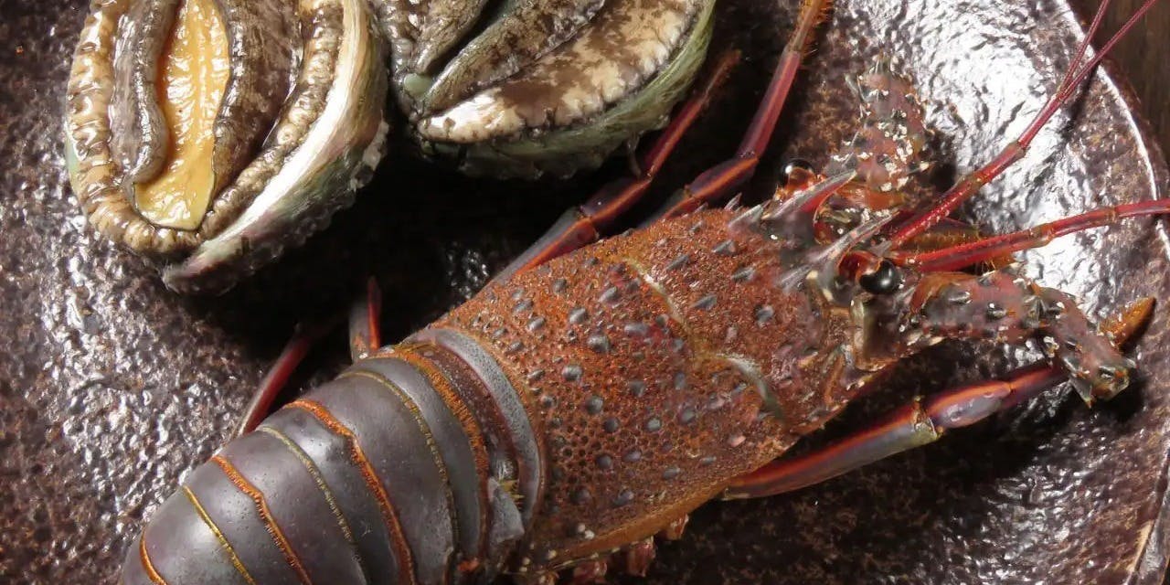 鉄板焼 梵’S - 画像3