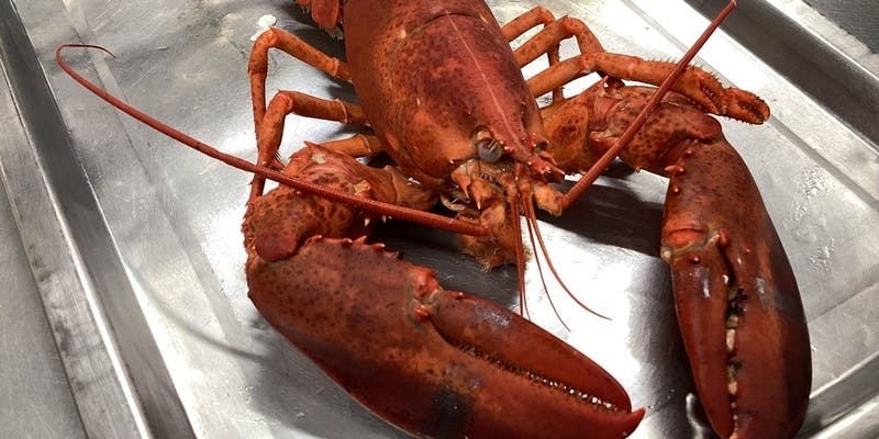 世界三大珍味とオマール海老コース