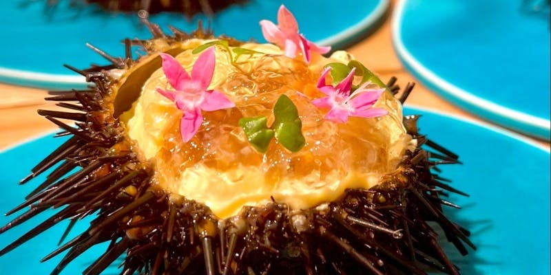 日本酒ペアリング付きコース