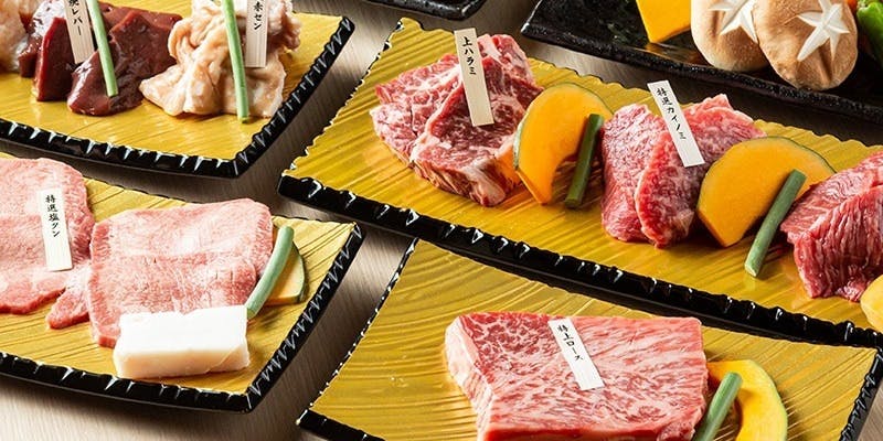 【月コース】特選シャトーブリアン、壺デカハラミ等を味わえる（全11品）