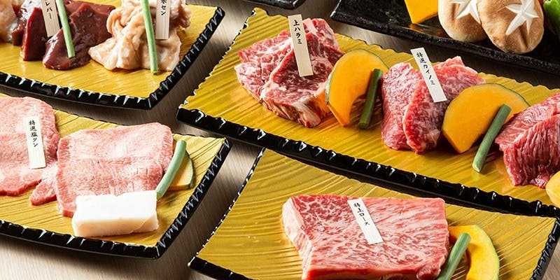 【月コース】特選シャトーブリアン、壺デカハラミ等を味わえる（全11品）