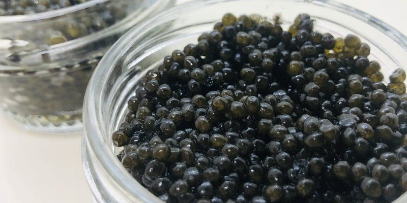 キャビアから始まるデラックスコース