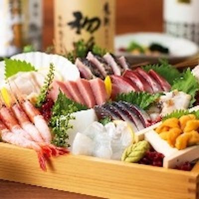 産地直送の新鮮魚介を、熟練の板前が技巧を凝らして調理。旬の味覚を贅沢に堪能