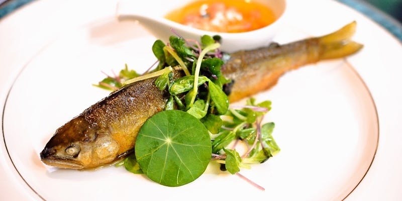 ローヌコース【ジャルダン】