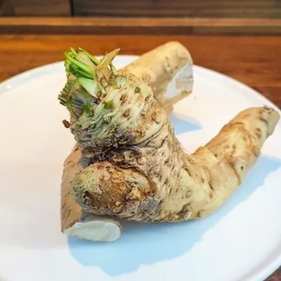 自社農園の新鮮野菜を使用した料理