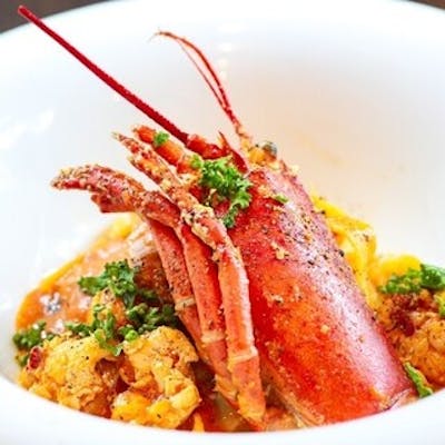 福井県産の旬食材を活かした手作りコース料理