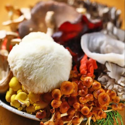 創造性豊かなきのこ料理の数々