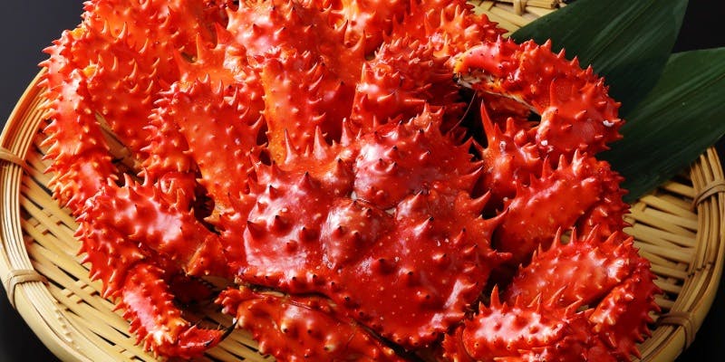 【席のみ予約】お食事の内容は当日選ぶ