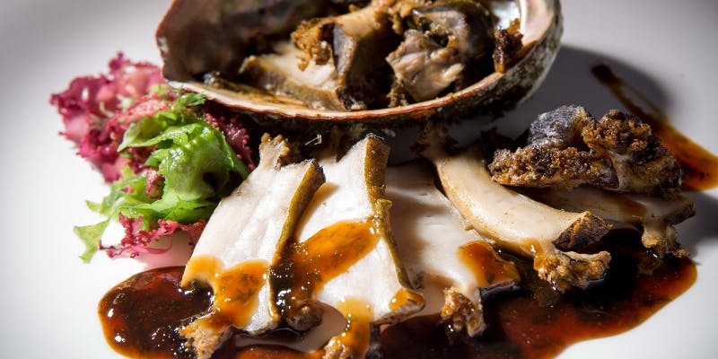 【活鮑コース ― 鉄板が奏でる至高の美味】