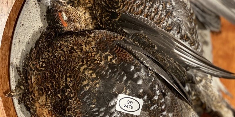 オーナーシェフ 五木田の特別ジビエコース