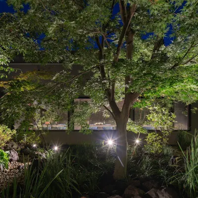 幻想的な夜の庭園