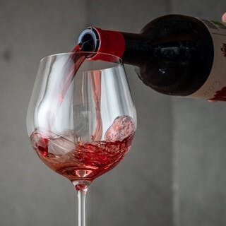 料理とのペアリングを楽しめる世界各地のワインをセレクト