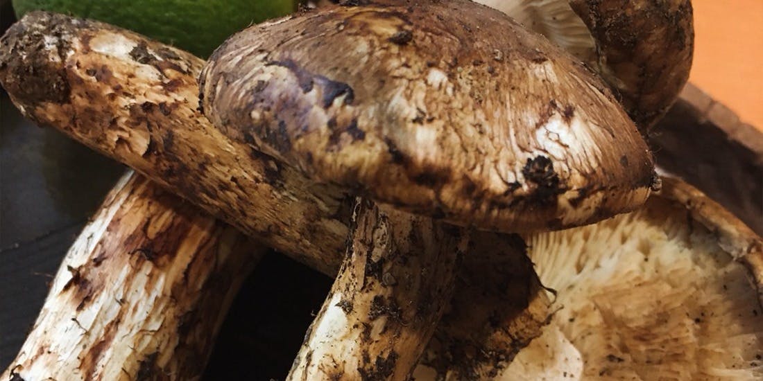 酒楽Masa - 画像9