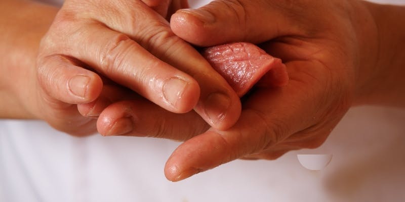 夜鮨おまかせ【真】いくら丼・雲丹や車海老など全21品