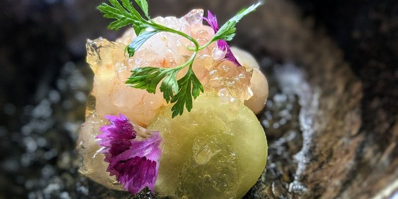 季節の食材を使ったシェフのおすすめコース＜8品＞