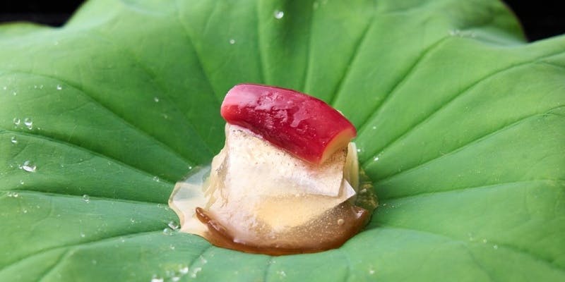 おまかせコース