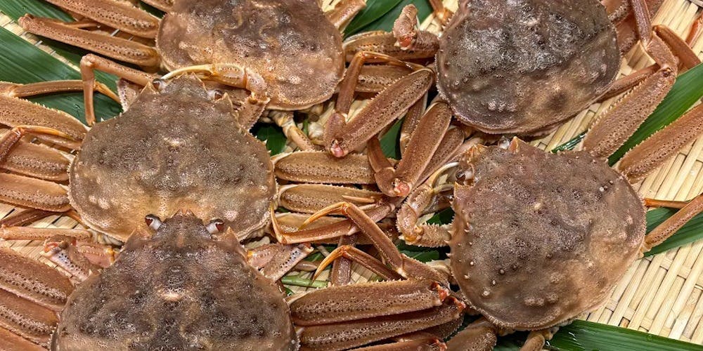 鮨 いい村 - 画像10