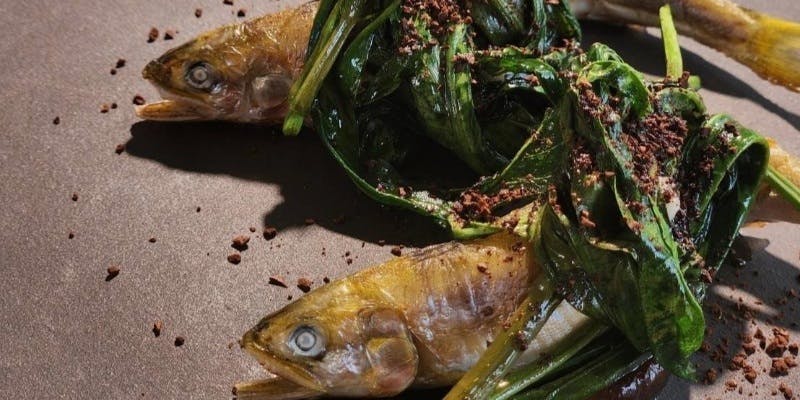 【ディナーコース】前菜2種、スープ、パスタ、メイン2品、ドルチェなど全8品程度