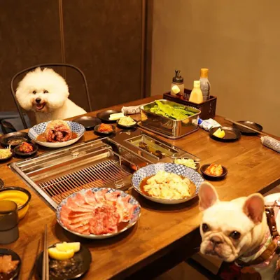 ペット同伴可能