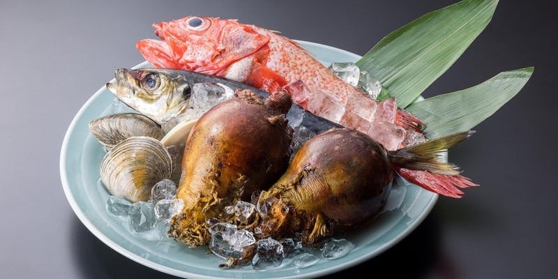 調理長おまかせ6,600円コース