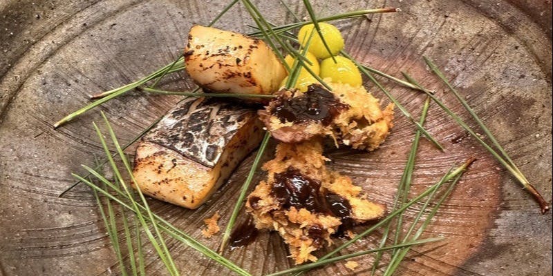 夜のおためし懐石料理