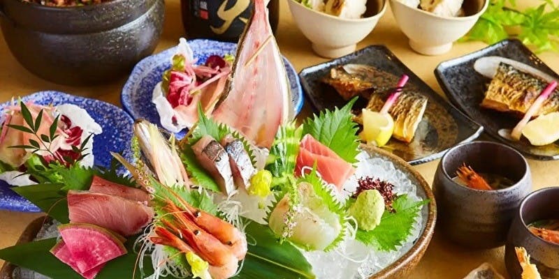 【梅コース】 本鮪入り刺盛×日替りカマ焼きや牛タン、季節物や御晩菜含 全7品