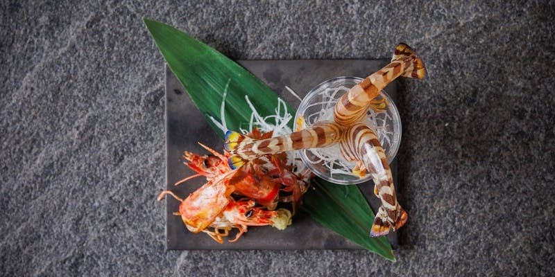 【おまかせコース】四季折々の旬の食材を盛り込んだ創作日本料理を堪能