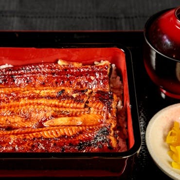 新鮮なうなぎを使用した多彩な料理