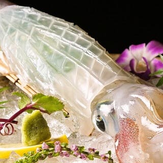 新鮮そのもの！呼子イカの活き造りが名物